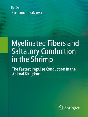 cover image of Myelinated Fibers and Saltatory Conduction in the Shrimp